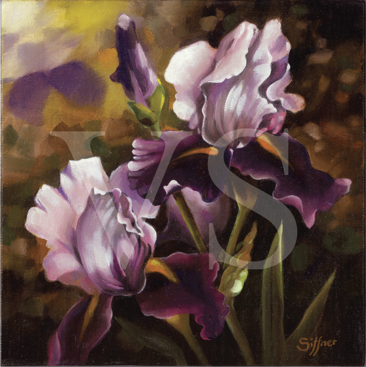 Giclée reproduction of iris